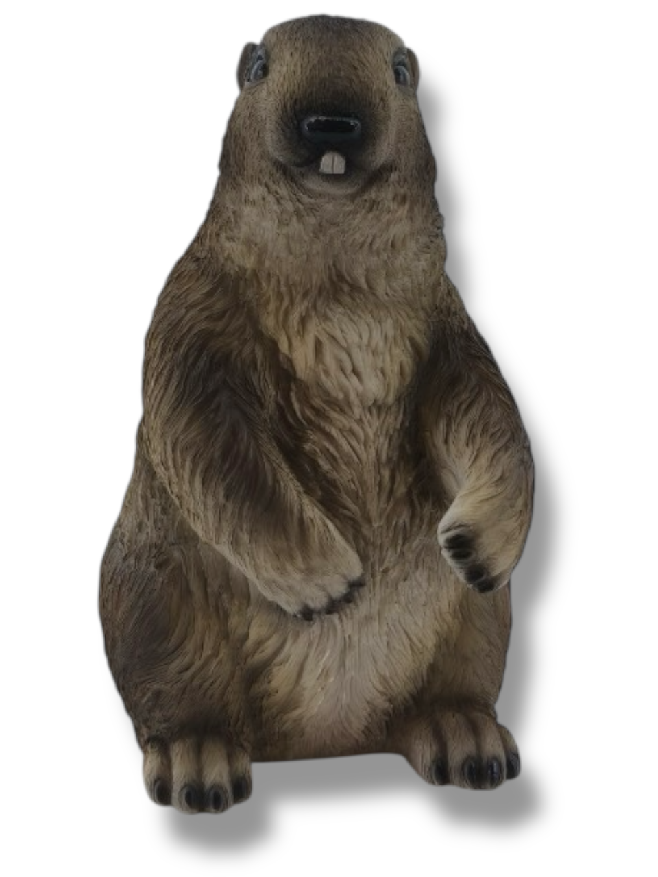Murmeltier Murmeltier