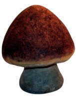 Steinpilz Steinpilz