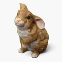 Hase Hase