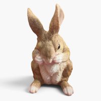 Hase Hase